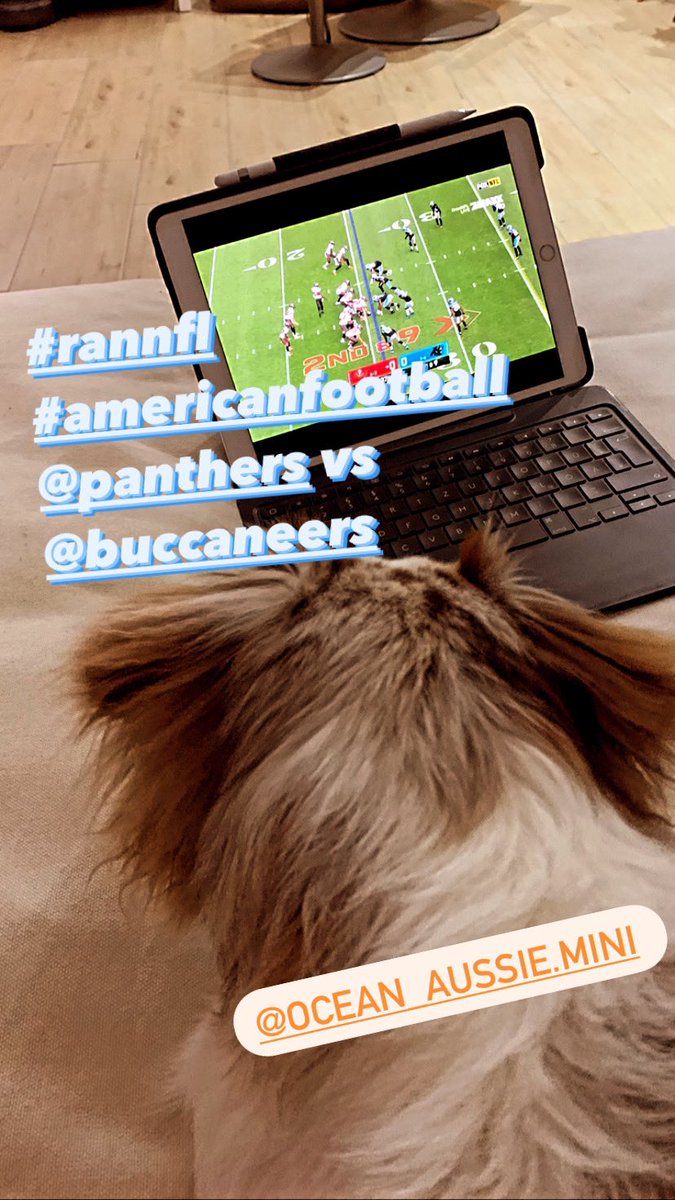 Blockbuster0815's tweet photo. #rannfl #jedenverdammtensonntag #americanfootball @Panthers @Buccaneers https://t.co/IgCq36LNIi