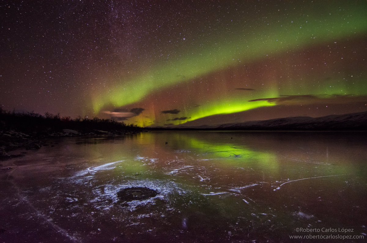 Bromotengger's tweet photo. Ayer el cielo de Laponia Sueca nos regaló un maravilloso espectáculo, con la majestuosa aurora boreal danzando sobre estos increíbles paisajes árticos...Nuestro emocionado grupo de viajeros @PangeaES ha cumplido el perseguido sueño y todavía nos quedan muchas aventuras por vivir! https://t.co/OV5a1cKfe4