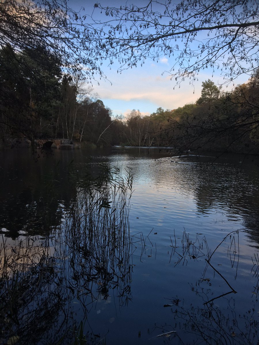 ProwseKatie's tweet photo. Rushmere ❤️ https://t.co/NJQIo6E8vW