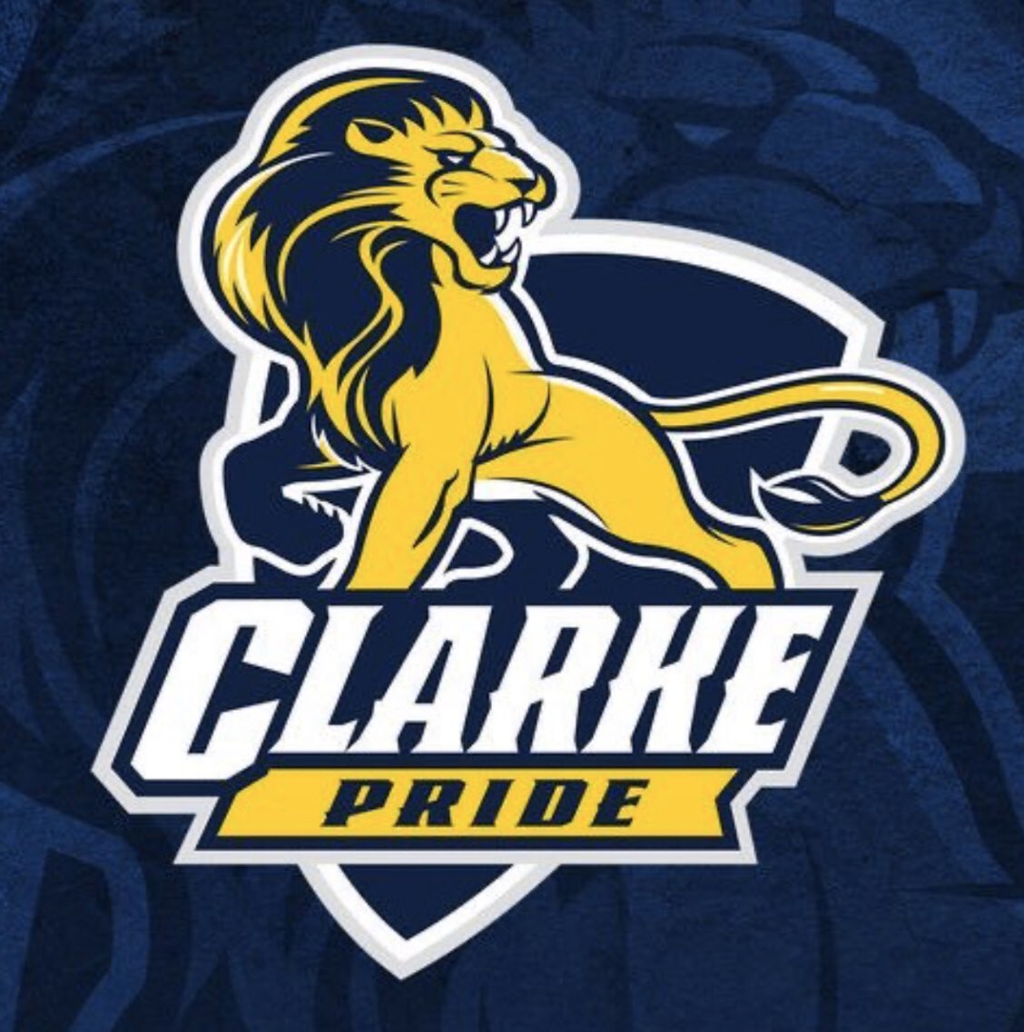 21_lilschil's tweet photo. Very excited to announce I’ve received my second offer from Clarke University! 💙 @ClarkeWBB https://t.co/fH193rfG2p