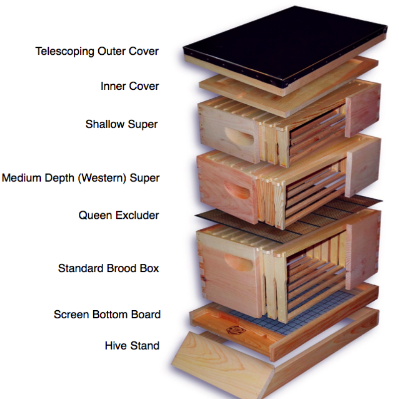 coding4bees's tweet image. How much does cost the #Langstroth #beehive in the UK ?  #beekeeping #bees  whathive.com/langstroth