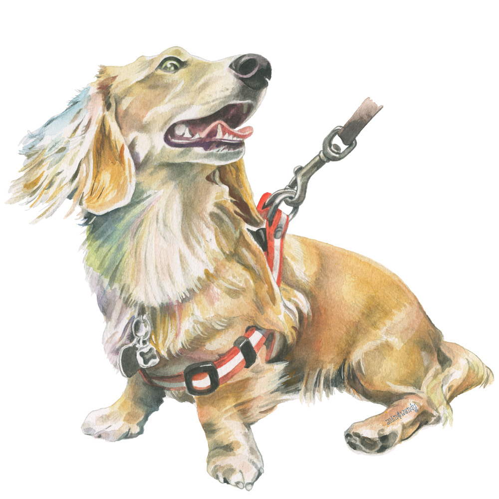 PositivelyDogSt's tweet photo. We're working on a secret project, so here's a rocket from the past. Rocket J. Fox, that is!

#dachshund #longhaireddachshund #doxie #petportrait #dogportrait #dogart #nyhandmadecollective #johnandwendy #positivelydogstreet https://t.co/Rpcwy6C23g