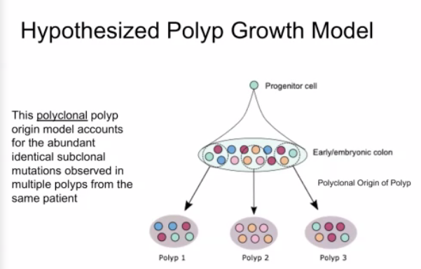 Cathryn Koptiuch (@ckoptiuch) on Twitter photo Proposed polyp growth model in #FAP being discussed by <a href="/EdEsplin/">Ed Esplin, MD, PhD</a> for the #CGAIGC20 Presidential Plenary Abstract Session. Proposed polyp growth model in #FAP being discussed by <a href="/EdEsplin/">Ed Esplin, MD, PhD</a> for the #CGAIGC20 Presidential Plenary Abstract Session.