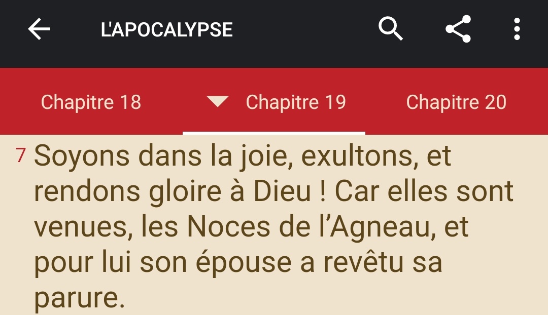 Les noces de l'Agneau  : #Noces  #Agneau  #messe  #liturgie  #Eucharistie  #communion