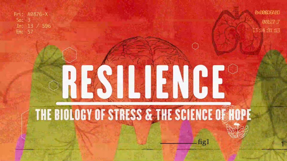 GHFilm's tweet photo. In the next few hours, we will introduce you to the science of #AdverseChildhoodExperiences and see their effects on children as well as adults during the screening of @DocResilience. Follow and contribute to the discussion
#globalhealthfilm #GHFClassics #trauma https://t.co/fJh1o5UJ6c