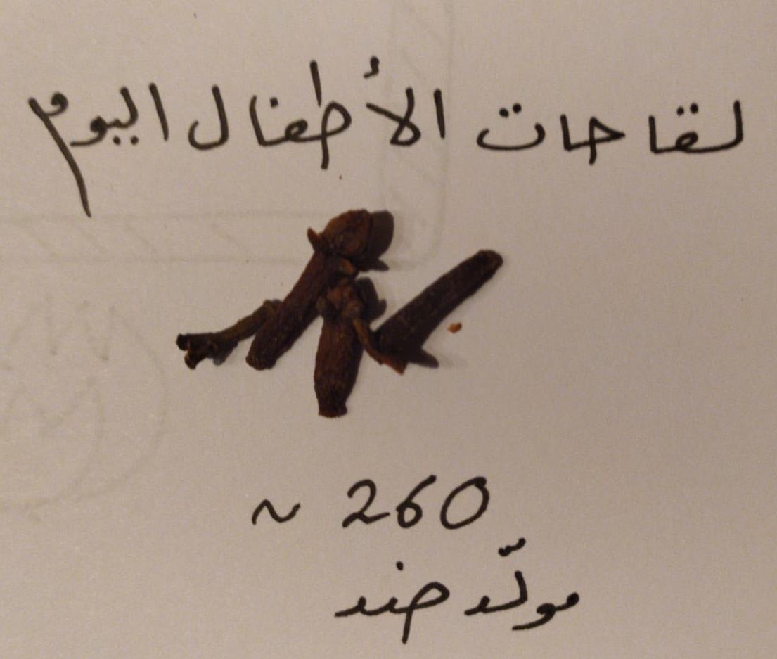 DrSusanNasif's tweet photo. (3/n)
-جملة معترضة-

يتذمر مناهضي التطعيمات من زيادة عدد لقاحات الأطفال 

ظاهريا هذا صحيح 

لكن عمليا العكس هو مايجري 

عدد المحفزات المناعية في تطعيمات الأطفال مجتمعة هو اليوم أقل 10 مرات وأكثر ما كان عليه الحال قبل 30 عاما https://t.co/UPZ9yAHyas