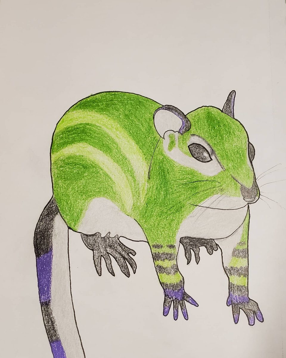QarasCreations's tweet photo. Doing some animal practice and transformations. Qara as a Serval, Chipmunk and Ferret. #qarascreations #qara #traditionalart #art #serval #chipmunk #ferret #transformation #greengrey https://t.co/9A0iMLgN5D