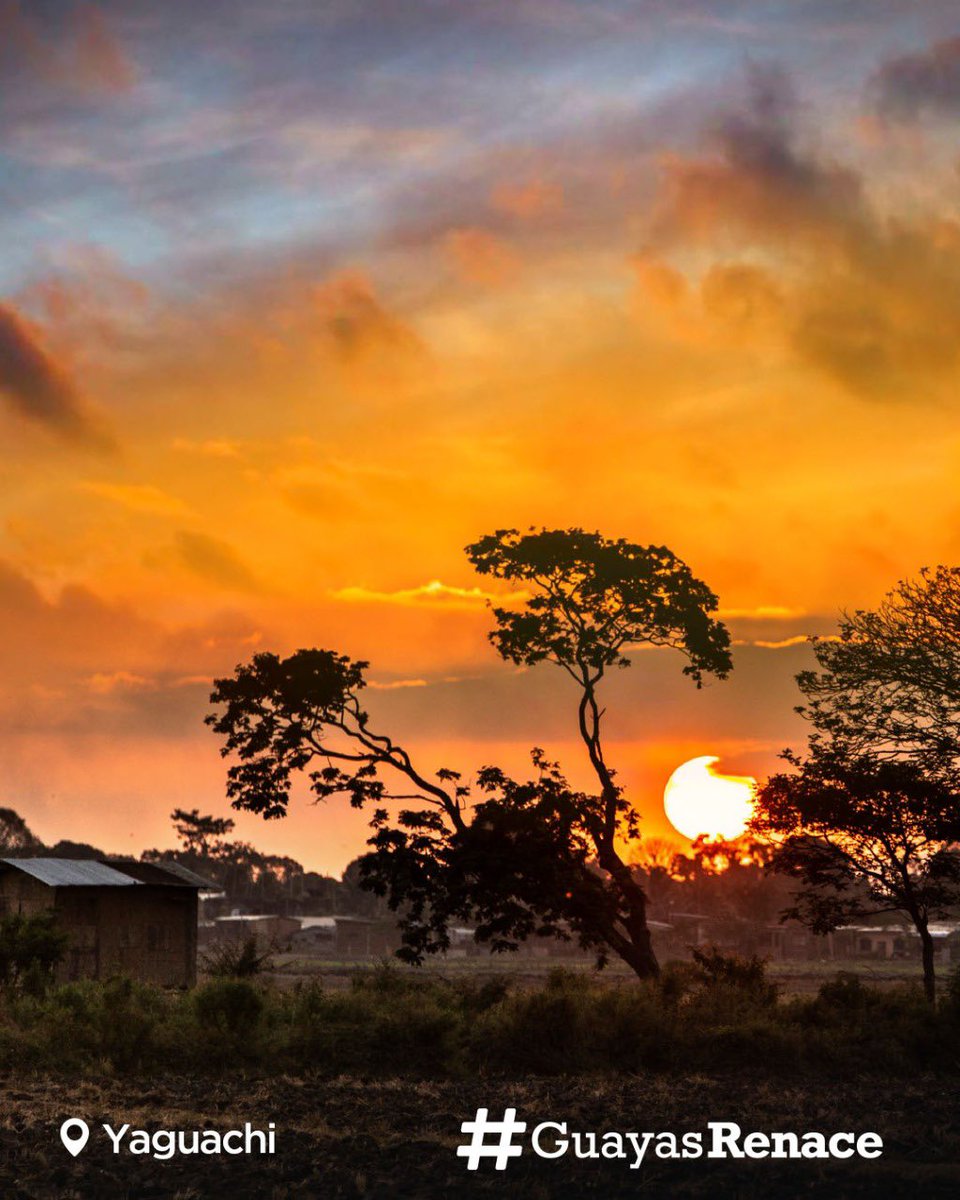 guayasrenace's tweet photo. En cada atardecer naranja se esconde un poco de #Yaguachi, de este pedacito de tierra que engalana con sus paisajes y despierta tus sentidos. 

#GuayasRenace https://t.co/o6s4CyPf2R