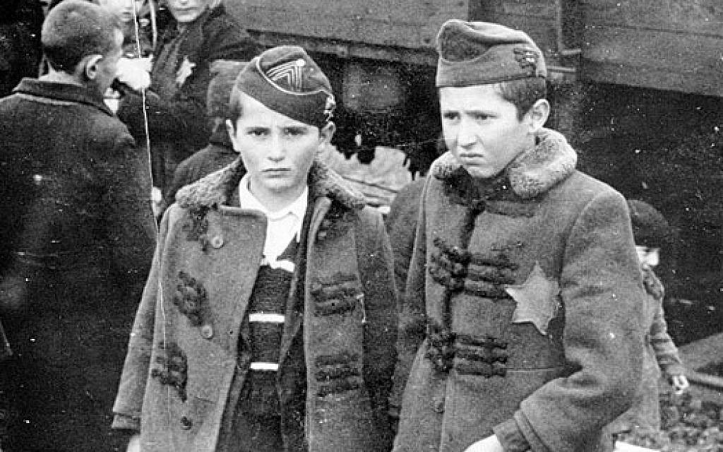 AuschwitzMuseum's tweet photo. 15 November 1938 | All Jewish children in Nazi Germany were expelled from public schools by the Reich Ministry of Education.

Nothing indicated at the time that three years later Jewish children will be executed by schooting and a few months later murdered in gas chambers. https://t.co/8Hg9SMiFRD
