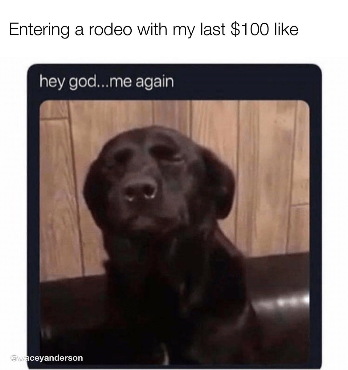 WaceyAnderson's tweet photo. #rodeomemes https://t.co/nmz0ZmhVE9