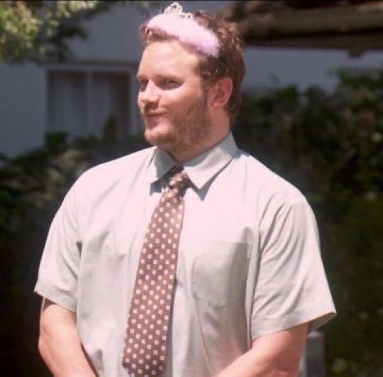 andy dwyer