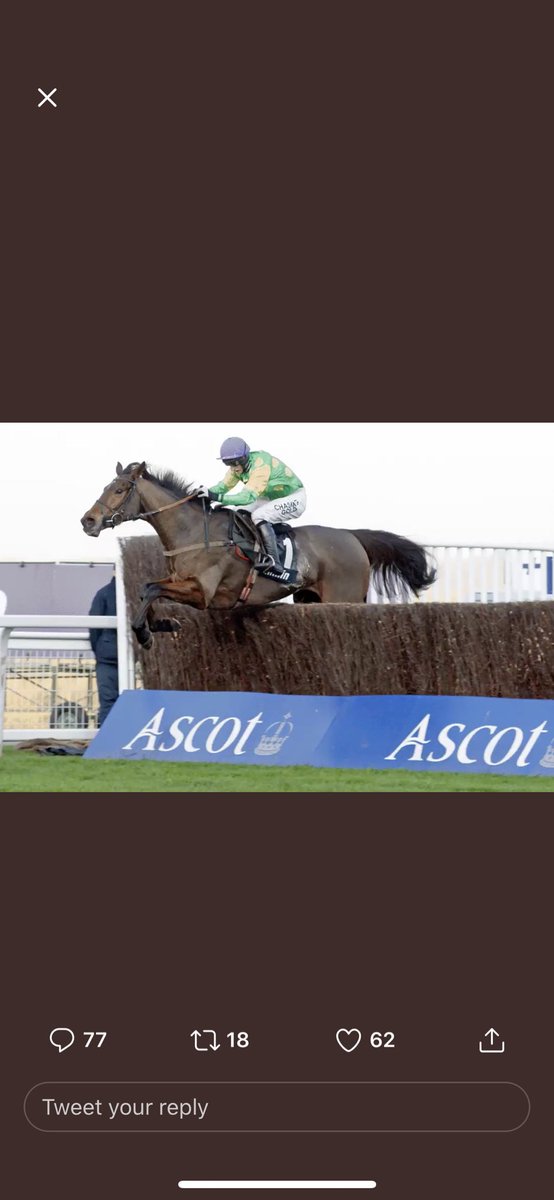 simon1pearson's tweet photo. @Ascot https://t.co/O1oVf4ik6I