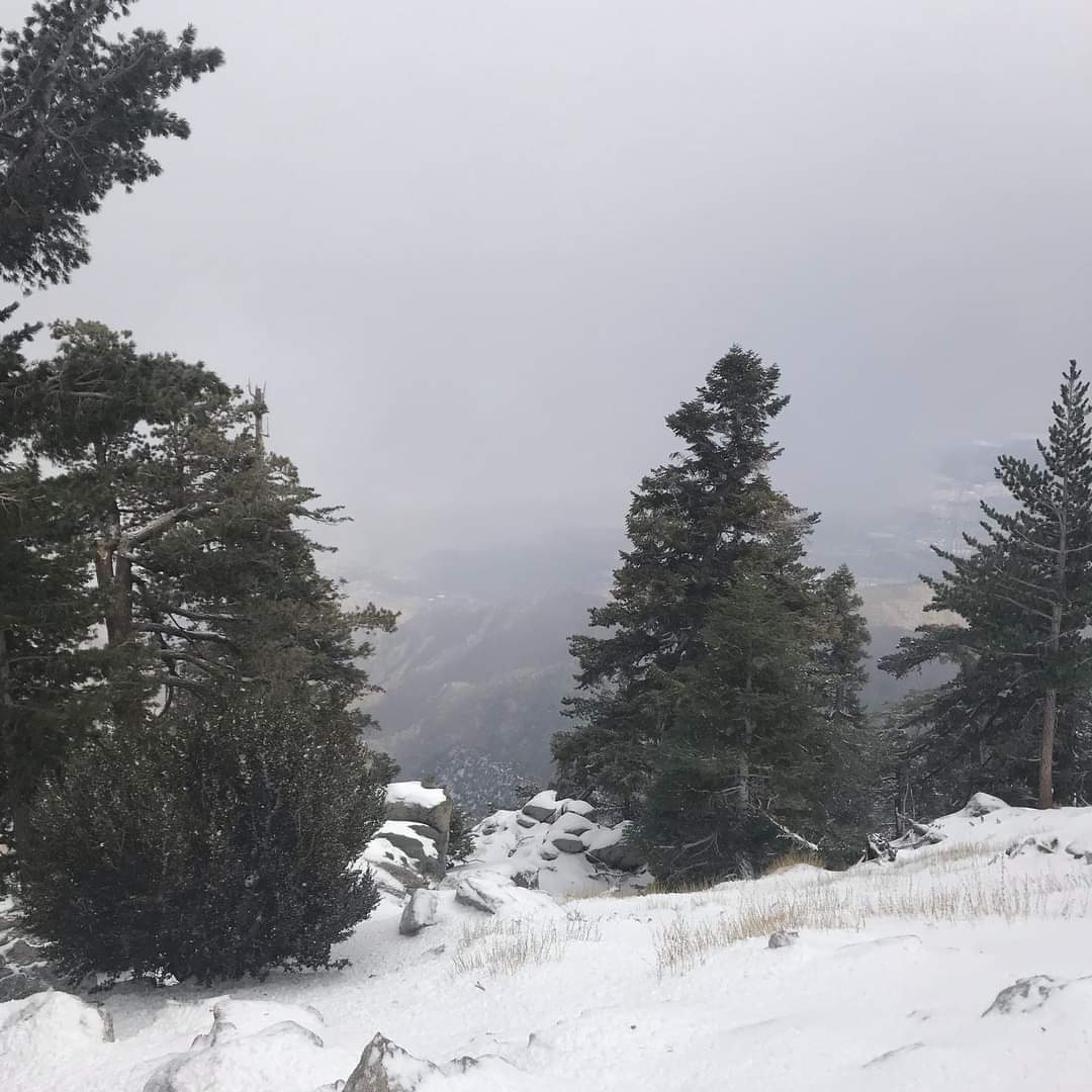 AnInsidersGuide's tweet photo. What our Winter wonderland at the top of the tram looked like during their 1st Snow Flurry last week. Brrr... 🥶 #palmsprings #mountjacintostatepark #winteriscoming #snowinsocal https://t.co/X2AkIHpezf