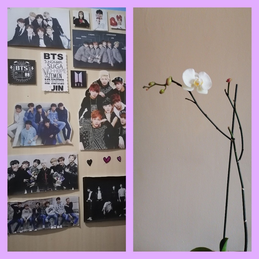 KattyGA1's tweet photo. #Hi_Army_7 #BExHiArmy #BEchallenge #BEisComing @BTS_twt @Hi_Army_7
"... la vida es hermosa..." No tengo en realidad mucho en mi habitación para no decir q nada, pero la puerta de mi closet ❤️ la amo y mi orquídea bella ❤️ https://t.co/zDeRifHVBO
