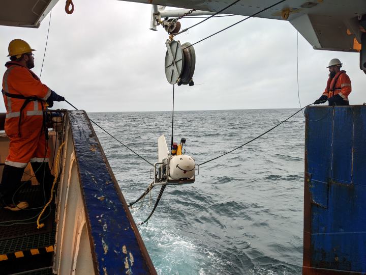 This flying sensor nicknamed "Suzy" was hard at work last week, zooming along the seafloor, measuring how much fluid is buried in the rocks below. 

The data collected by Suzy will help scientists to figure out how pressure may be building up along the <a href="/HikurangiSZ/">Hikurangi</a>