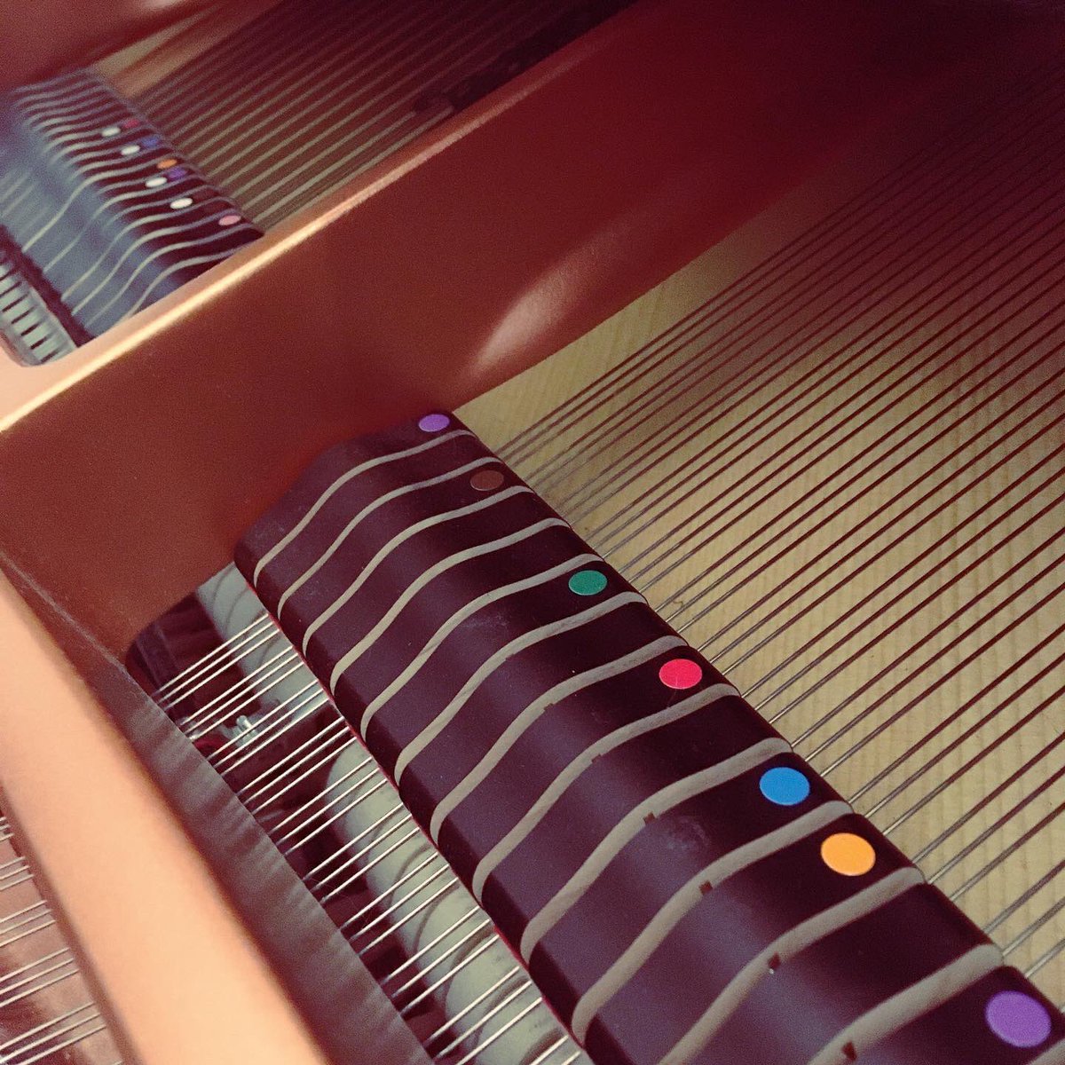 Practicing some extended piano techniques for an upcoming album 🎹 👾 #Pianist #VGM #RecordingArtist