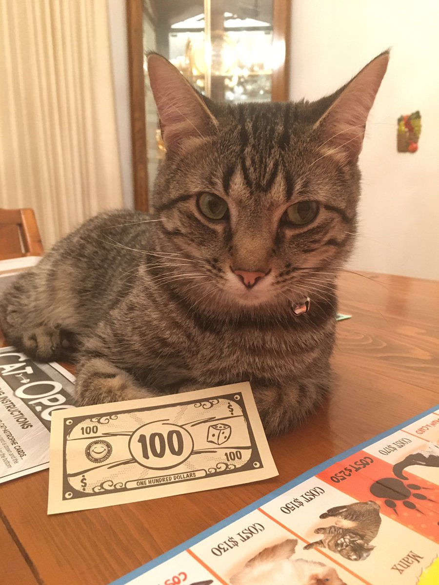 thedynamiccatt1's tweet photo. Silly human. Did you really think you could play #catopoly without me?? #sundayvibes #cats #tabbycat https://t.co/1F4XH70ex9