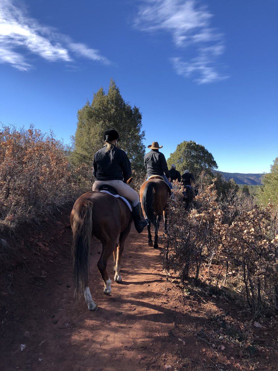 sinkm's tweet image. Why I love where I live: just your typical Sunday sharing the trails with horses and impossibly blue skies above. #Coloradotrails #letsgohiking #SandstoneRanchOpenSpace #sharethetrail