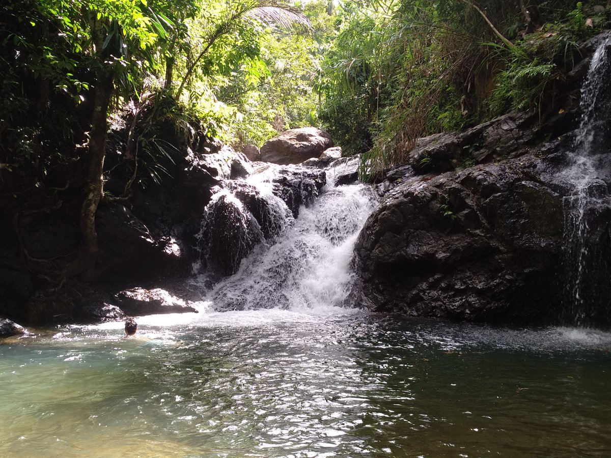 JaysonSabuya's tweet photo. My Sunday nature outing... #Chill #AppreciatingGod'sCreation... https://t.co/e6ltq4hNFM