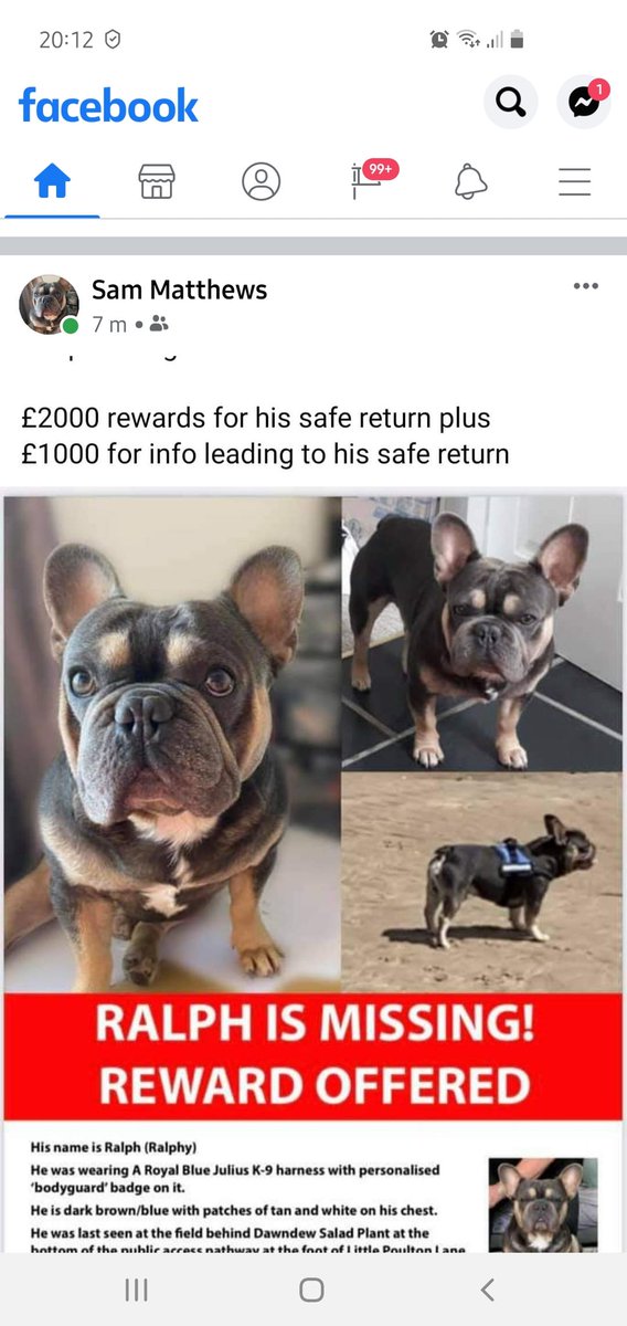 Clare_L_Black's tweet photo. It would be awesome if all my followers could share this, the more RT it gets the more people see it. Even if you think it won't make a difference, just a RT for my best mate would mean the world to her to find her boy #findralph https://t.co/XulWrfY4cJ