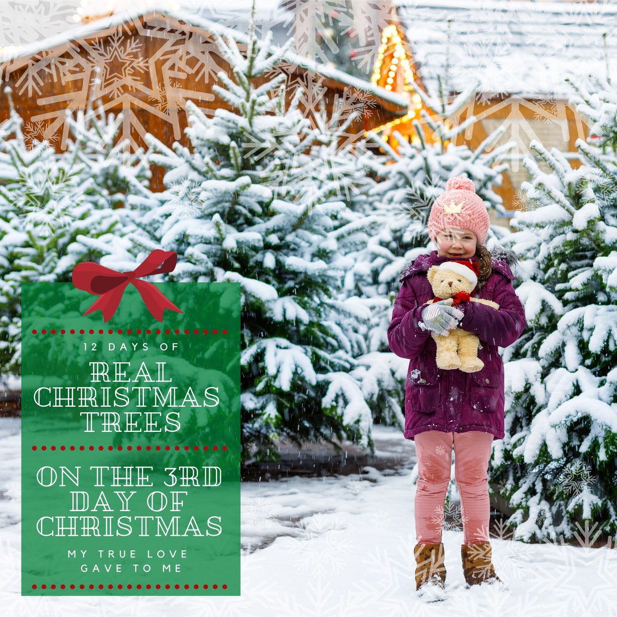 RealTrees's tweet image. On the 3rd day of Christmas my true love gave to me, tap water for my Real Christmas Tree! Research has shown that plain tap water is best for watering your tree – no extra expense needed! #RealChristmasTrees #NationalChristmasTreeAssociation #Christmas  #Christmas2020 #farmgrown