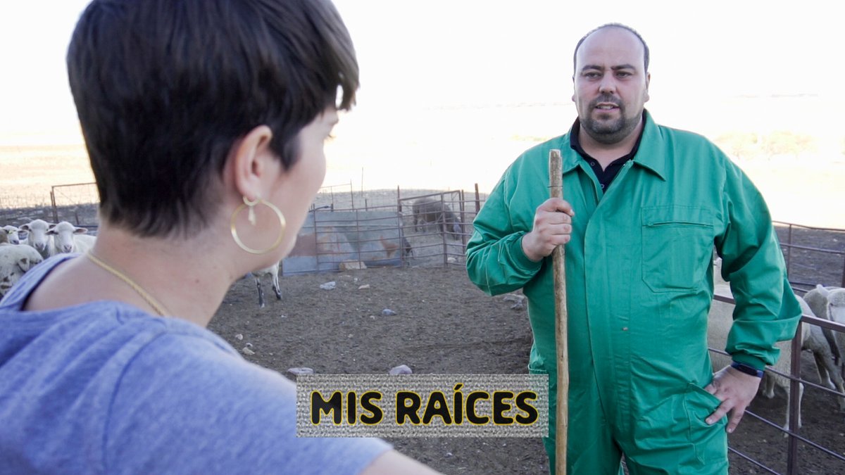 MINISERIE | "MIS RAÍCES" 🎥

Este lunes estrenamos un proyecto pionero en el sector ganadero. Se trata de una serie de ficción, con 5 capítulos. 

Daremos a conocer una parte de la realidad del ovino centrada en el relevo generacional. 

#MisRaíces 🐑 #Cooperativas 👩‍🌾 #Campo 🌿