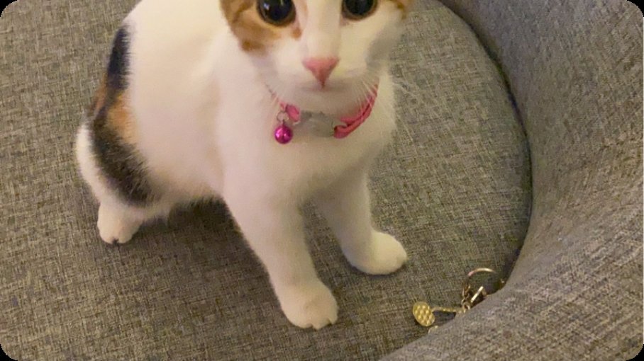 🔴 LIVE <a href="/ultraslanayca/">Ayça begen</a> on #YouNow watch.younow.com/llOD?pid=Share…