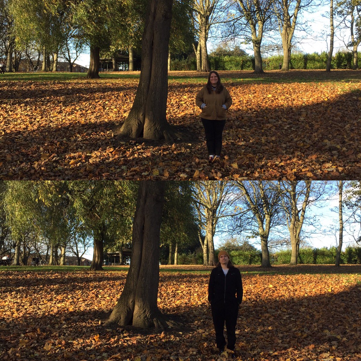 Instant Bin tweet media