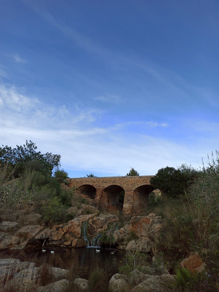 LopezColomar's tweet photo. Aquest cap de setmana ha tocat passejar per la meva illa i el meu poble, Santa Eulària des Riu. #22121UIB #22121 https://t.co/XRB7zdFNQD