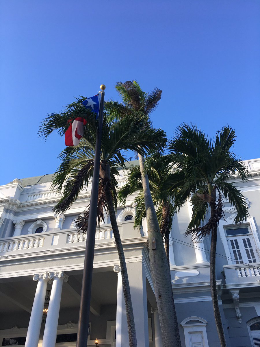 tostongalactico's tweet photo. La palma no deja a la bandera ondear libremente. Buena metáfora. https://t.co/UX3QGxWRNM