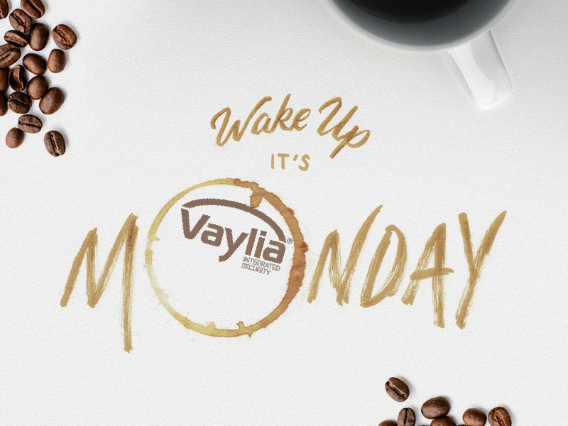 Vaylia tweet media