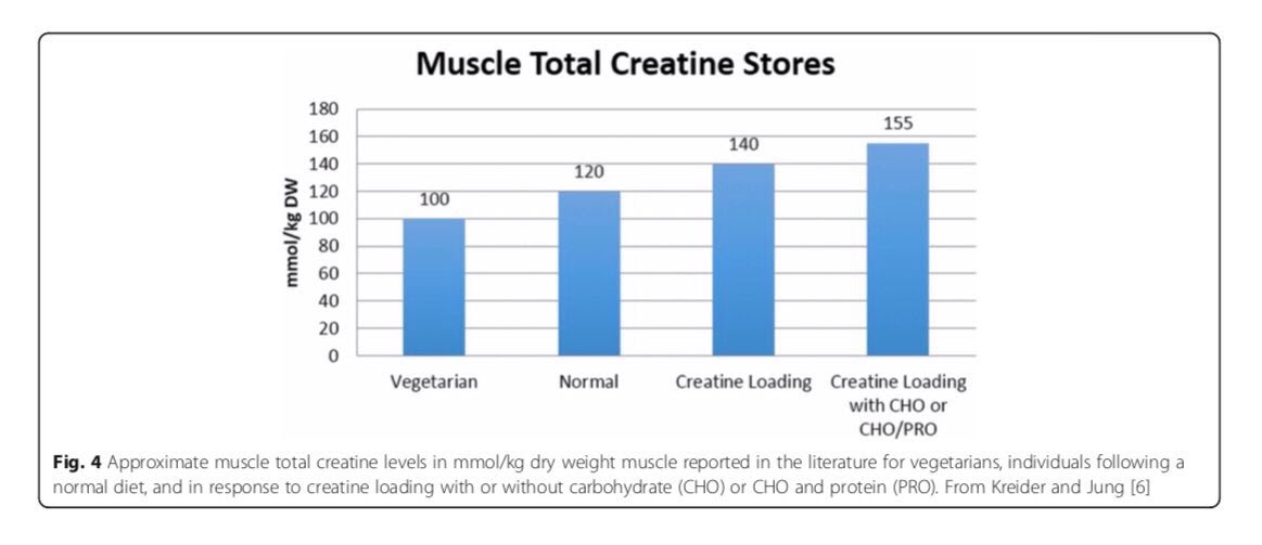 00:16:21“First of all, yeah, so if you don't consume meat in your diet as you're a vegetarian or vegan, typically, you have lower creatine levels within your muscle. Typically, respond better to creatine supplementation. Vegetarians seem to respond better.”