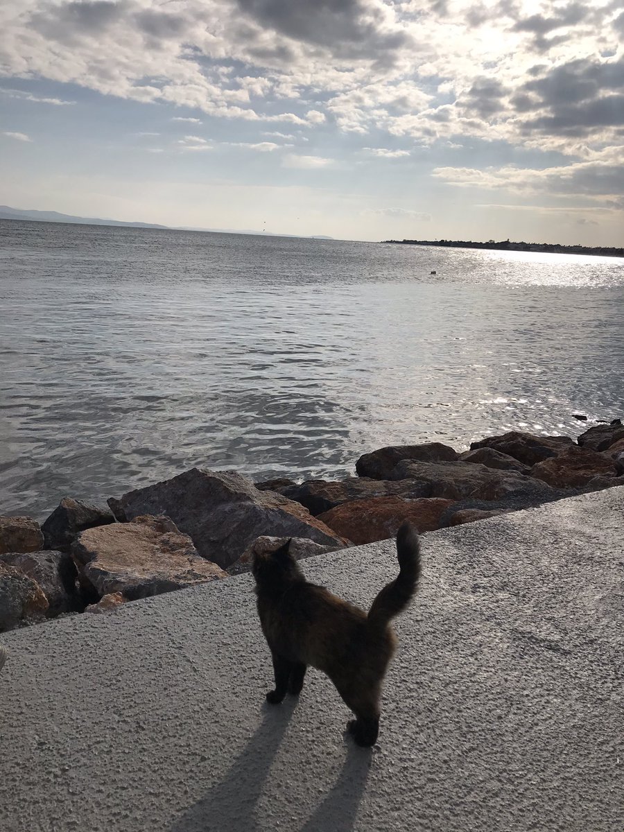 Beni sorma ben iyiyim 
Zaten ne soracaktın ne de iyiyim