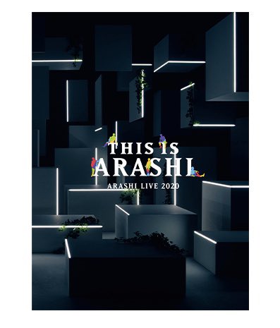 嵐 わかし ARASHI ライブパンフレット 写真集 うちわ バラ売り不可 
