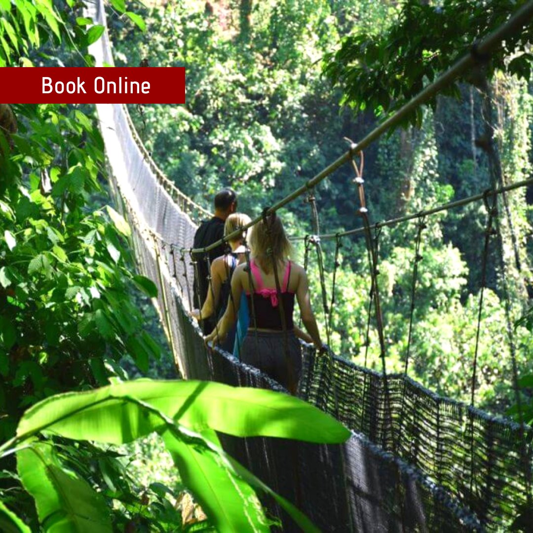 AskZipy's tweet photo. You can give the gift of an awesome vacation in Costa Rica! Choose the adventure you want to gift or simply choose a gift card.
 
➡️https://t.co/rSr47iPVvB
#costarica #surf #PicoftheDay https://t.co/zVcigWCIfo