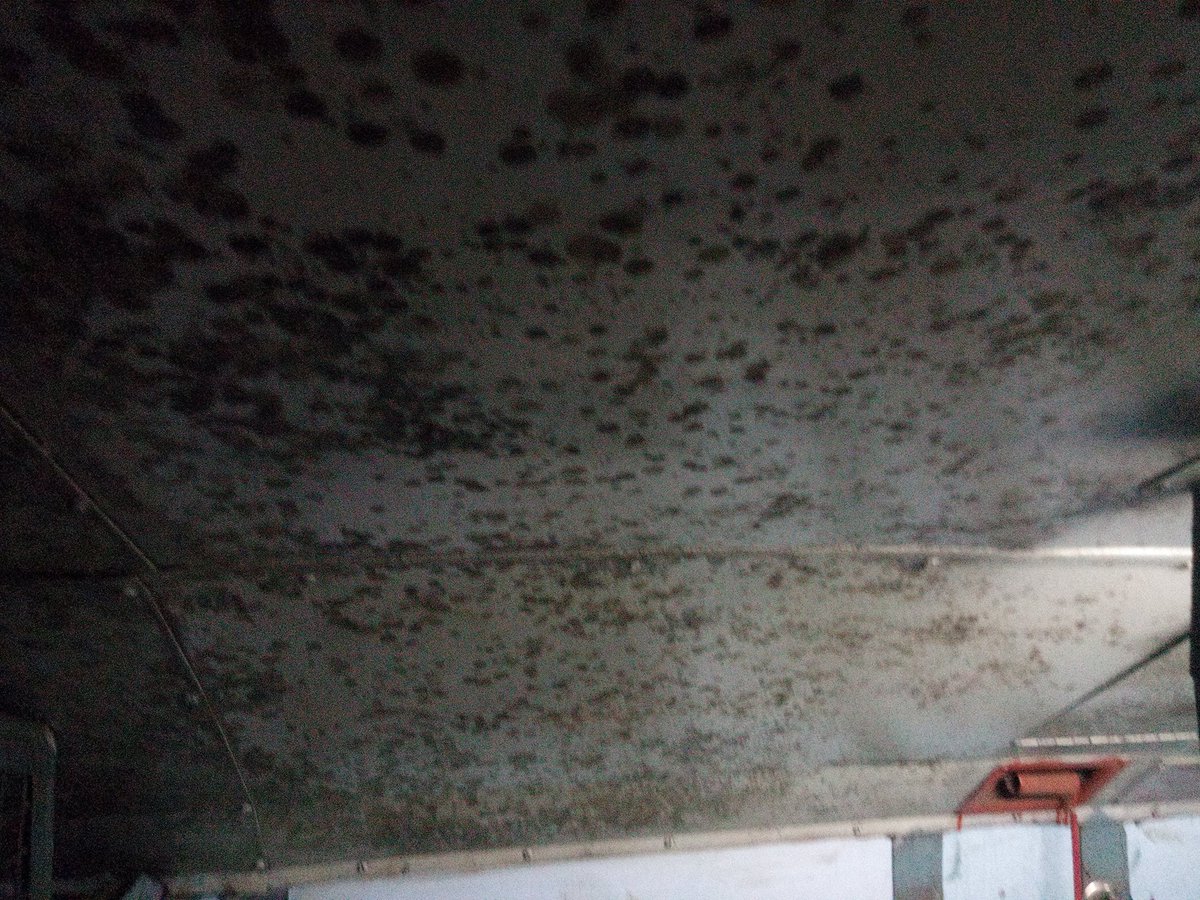Jacks_kumar2008's tweet photo. @PiyushGoyalOffc sir we are paying to the railway. N see the sleeper coach condition of the train (02032). Railway is focusing to increase the fair . Plz look after the cleanliness https://t.co/i86ZThfnVb