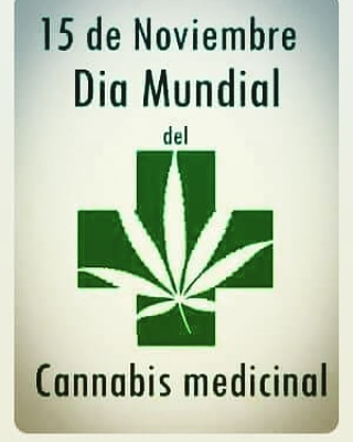 EDUCANNEM's tweet photo. Día mundial de las #personas que vemos #vulnerado nuestro #derecho a un #tratamiento #digno somos #perseguidas, #estigmatizadas y #encarceladas #RegulacionYa #Cannabislicito @cannaforum @CANNABMED @marioland4 @Marihuanatv @MarihuanaLabs @ObsCannabis @BROTSANBERT @Mareaverdelibre https://t.co/woiQ6f0uAn