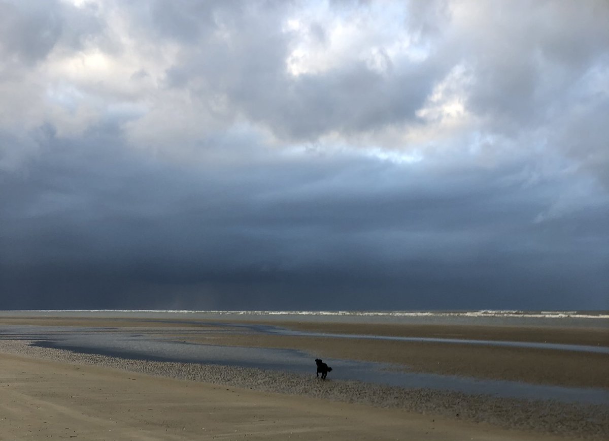 LidaSmit's tweet photo. @denoordzee Schiermonnikoog 03-11-20 https://t.co/5o8ECKVuDH