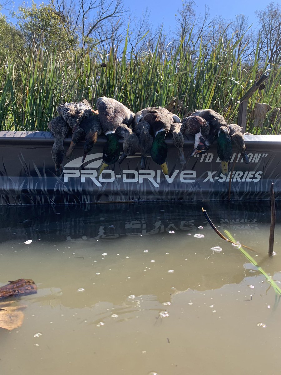 bergi3_3's tweet photo. Not a bad shoot this morning! 🦆 https://t.co/mOMA3hYAg3