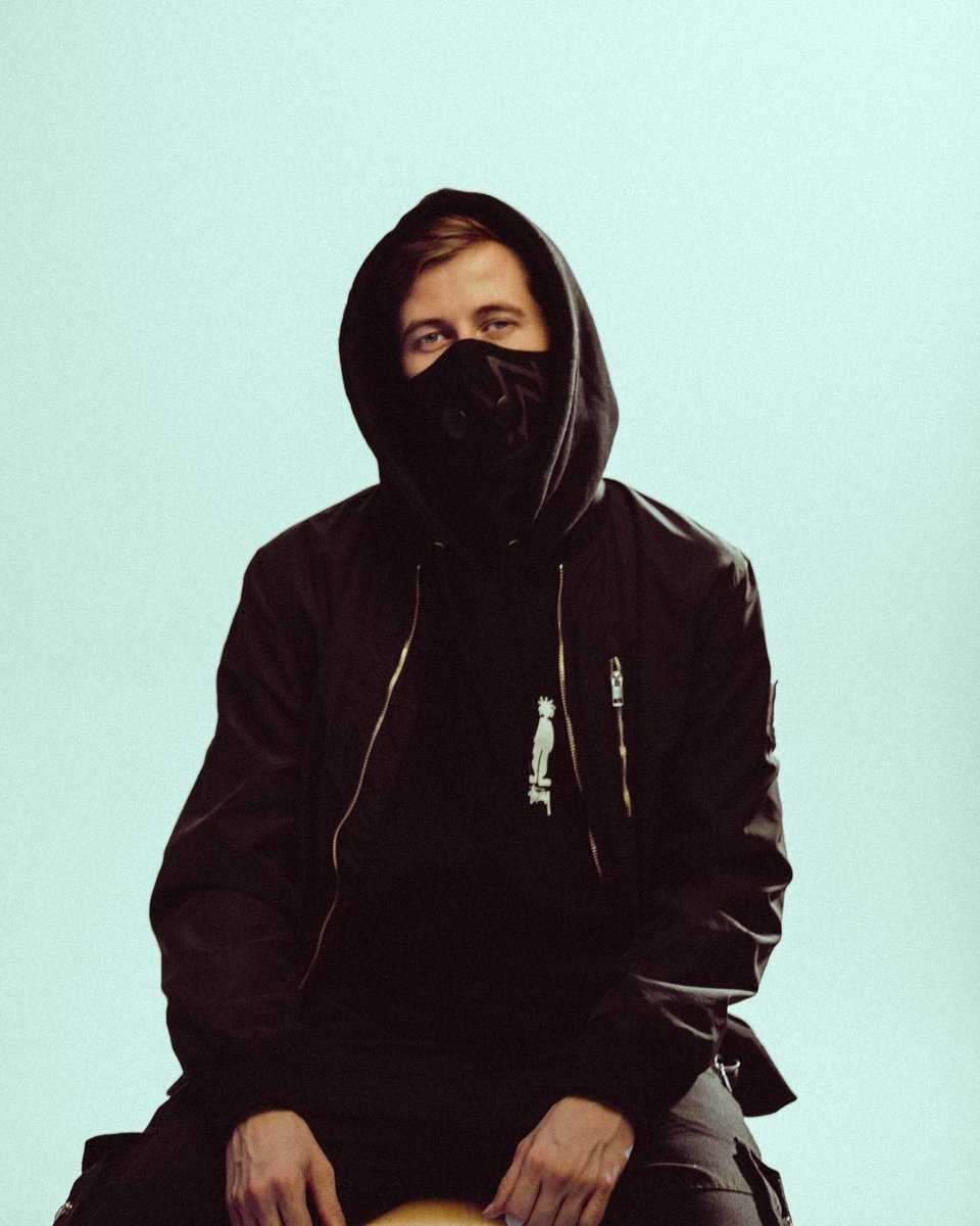 alan walker twitter