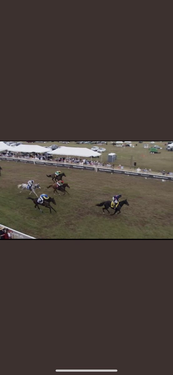 BaltimoreStable's tweet photo. Double graduates for Baltimore stables - HOLLOW GAMES @punchestownrace for @gelliott_racing & @CoddJJ. ZOOM ZOOM ZOE @SteeplechaseCHS for @Keri145 & @sirgerry29. Congrats to connections @grangestud @tattscheltenham @Goffs1866 @coolmorestud #baltimorestables #supplyingwinners ππ https://t.co/07OjBKhmQe