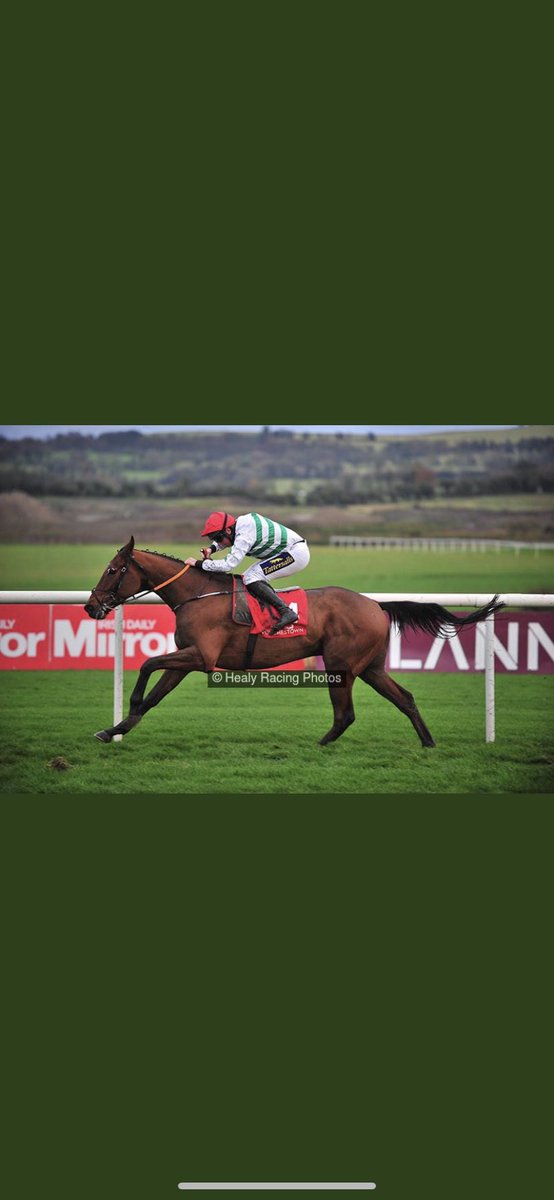 BaltimoreStable's tweet photo. Double graduates for Baltimore stables - HOLLOW GAMES @punchestownrace for @gelliott_racing & @CoddJJ. ZOOM ZOOM ZOE @SteeplechaseCHS for @Keri145 & @sirgerry29. Congrats to connections @grangestud @tattscheltenham @Goffs1866 @coolmorestud #baltimorestables #supplyingwinners ππ https://t.co/07OjBKhmQe