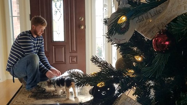TennysonGuthrie's tweet photo. New artwork for sale! - "A boy and his dogs" - https://t.co/8gZmJA6LQz @fineartamerica https://t.co/4Oamd7YNXI