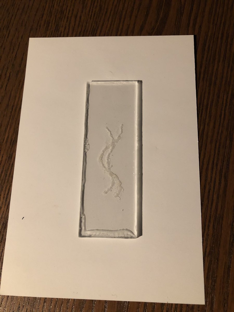 JoramMooiweer's tweet image. Fun! So, I just made DNA with my own DNA🧬. How was your evening? #kitchenscience #craftingfornerds