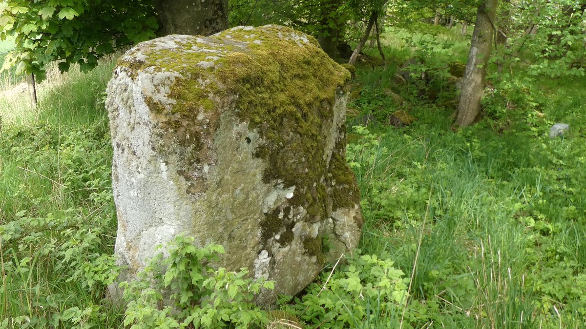 tourscotland's tweet photo. Tour #Scotland 4K virtual travel video Blog of the Pictish #Standing #Stone on visit to woodlands at #Craigmakerran, #Perthshire The #Picts were a confederation of #Celtic speaking peoples https://t.co/EXiEcXmkdV https://t.co/hwGgRUePH4