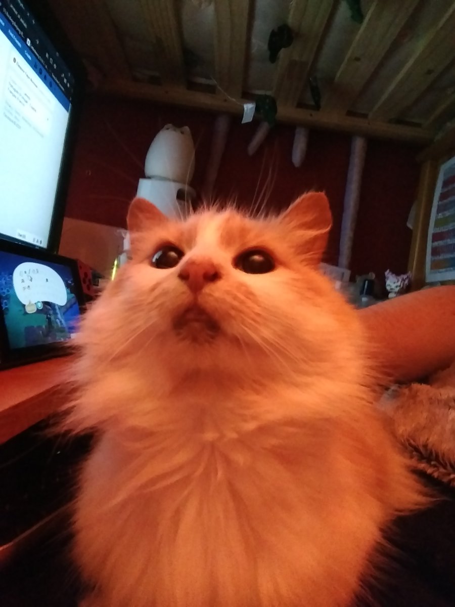 DailyUpdot tweet picture