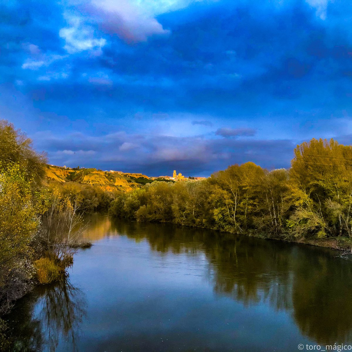 toro_magico's tweet photo. Pintaron de gris el cielo
Y el suelo
Se fue abrigando con hojas,
Se fue vistiendo de otoño.
La tarde que se adormece
Parece
Un niño que el viento mece

Fragmento de “Balada de Otoño” de JM Serrat.  #toromágico #vivetoro @turismotoro @turismoenzamora @CyLesVida @DestinoCyL https://t.co/zO7FkQDSVa