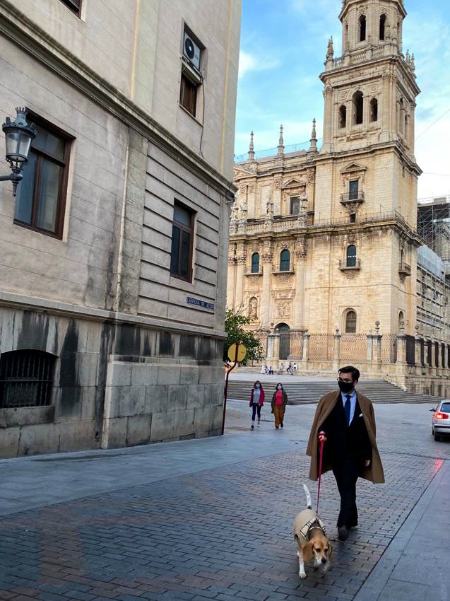 00Alejandresp's tweet photo. Hoy he salido a dar un paseo con mi amiga Bimba antes de los cultos y los paparazzis nos han tomado algunas fotos https://t.co/OqPz5MZ2s7