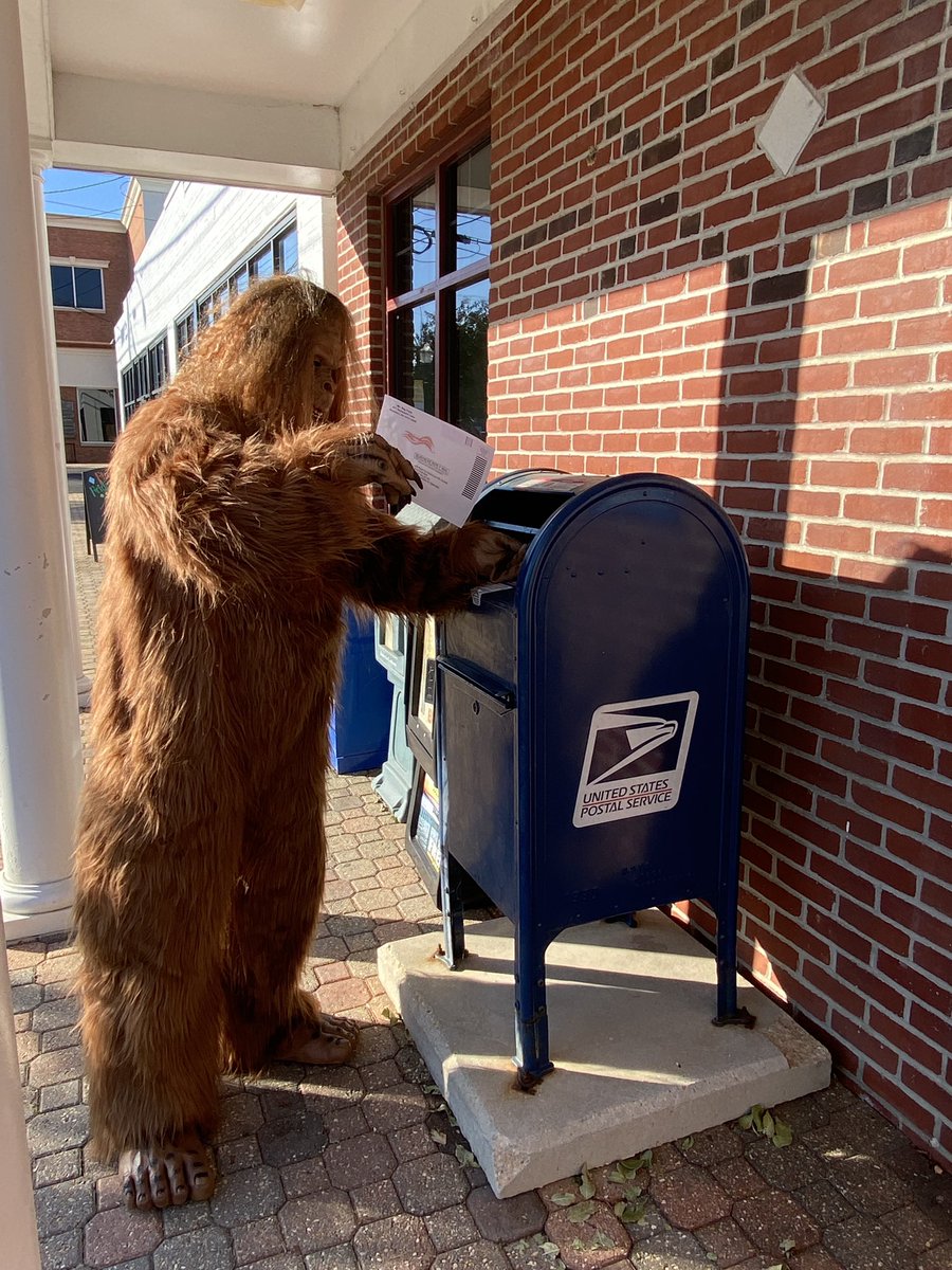 BackAtYourBest's tweet photo. Every vote counts. #EveryVoteCounts #Trump2020 #Biden2020 #lol #bigfoot #Election2020results #coronavirus #CNN #FoxNews https://t.co/xKVVHTl1Fu