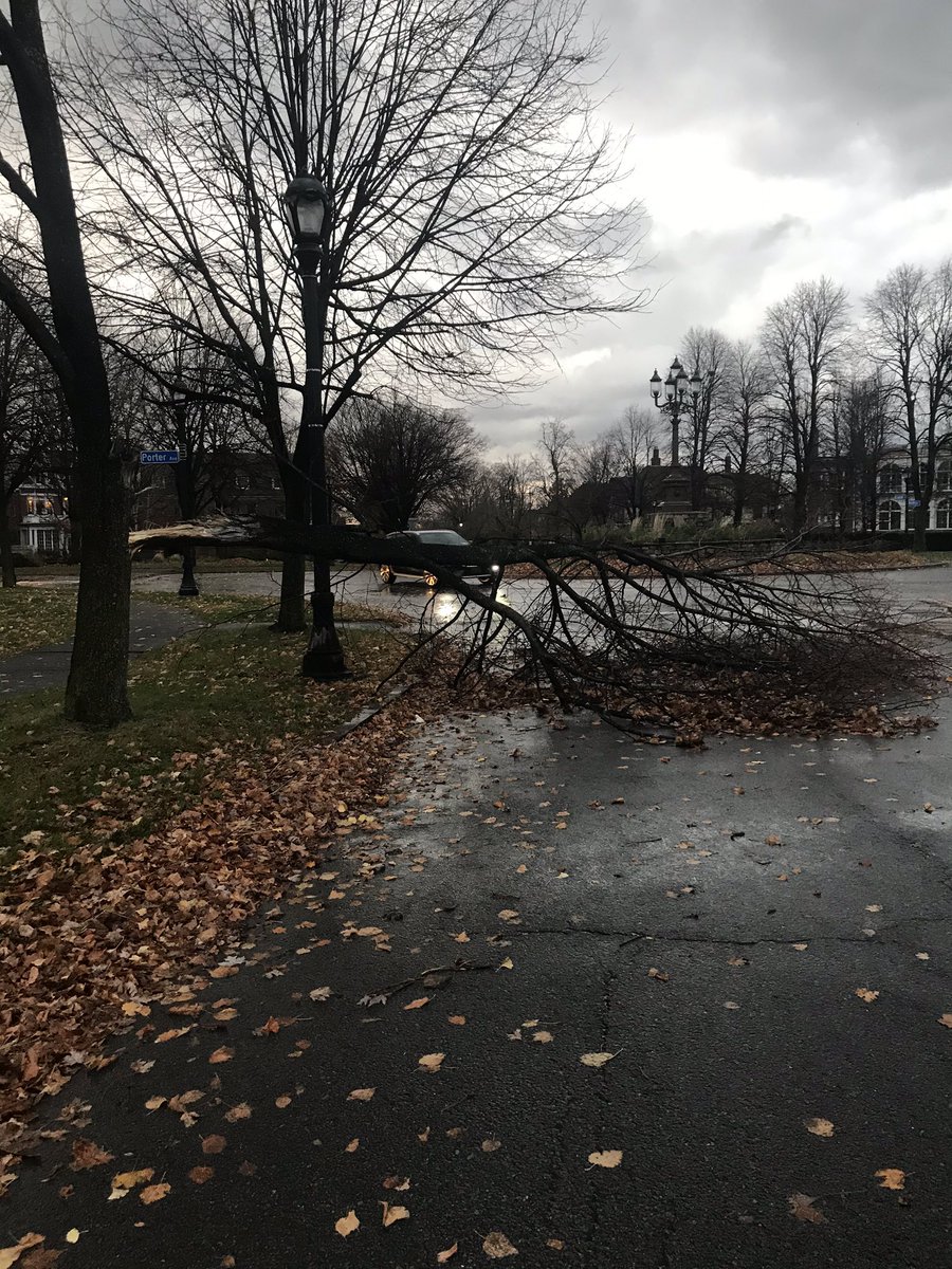 CatieBTV's tweet photo. A large tree branch is blocking traffic between Porter And Richmond Ave around Symphony Circle @WGRZ #WindyWeather https://t.co/LMRmanbQif